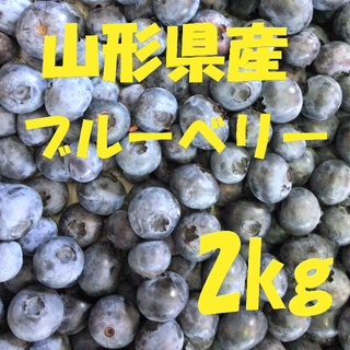 a03 ブルーベリー 2kg 4000円 山形県産 家庭用 地域限定(フルーツ)