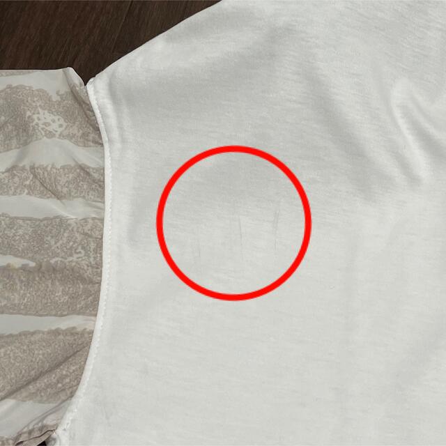 FOXEY(フォクシー)のアディアム　2020年　トップス　Tシャツ　カットソー　フォクシー  レディースのトップス(Tシャツ(半袖/袖なし))の商品写真
