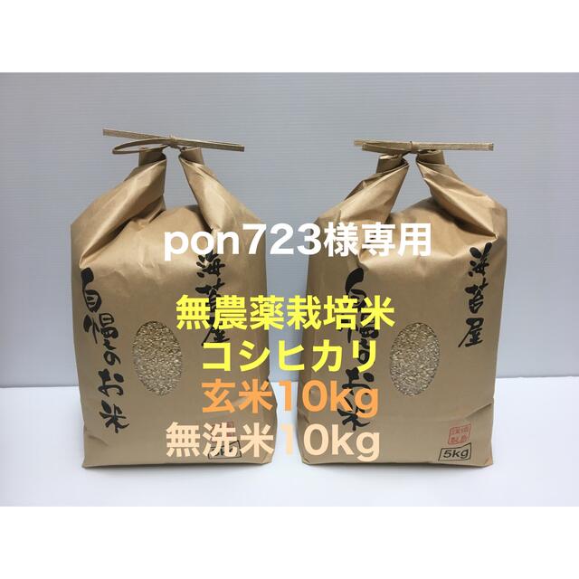 pon723様専用 無農薬コシヒカリ玄米10kg、無洗米10kg 令和3年産の通販 by U-KO's shop｜ラクマ