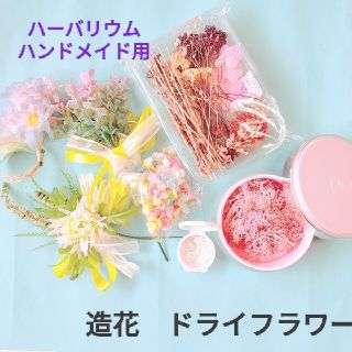 ドライフラワー＆造花(ドライフラワー)