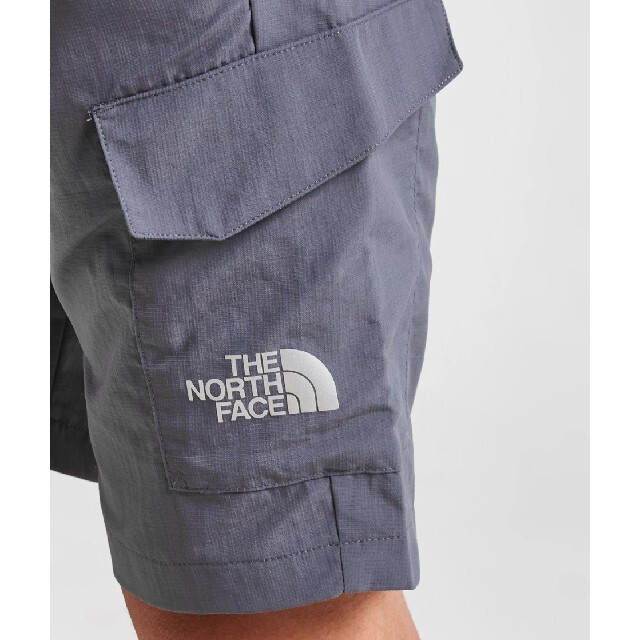 THE NORTH FACE(ザノースフェイス)のノースフェイス サイドロゴカーゴショーツ 海外限定 メンズのパンツ(ショートパンツ)の商品写真