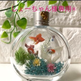 【しょーちゃん様専用】ハーバリウム　アクアリウム金魚　2点NO176☆*:.。.(その他)