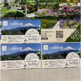 ハーブ庭園旅日　富士河口湖庭園の富士山デッキ入場無料券(その他)