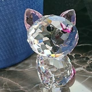 SWAROVSKI - 今月限定！スワロフスキー『アメリカンショートヘア