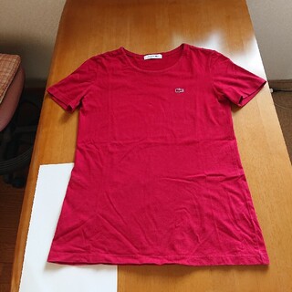 ラコステ(LACOSTE)のLACOSTEのレディースTシャツ(Tシャツ(半袖/袖なし))