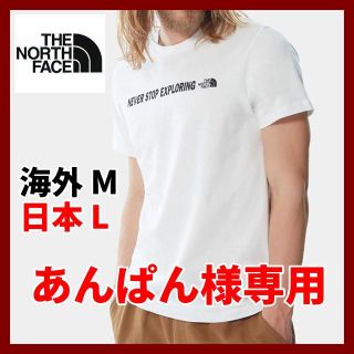 ザノースフェイス(THE NORTH FACE)のノースフェイス 半袖Tシャツ OPEN GATE TEE 白 Mサイズ(Tシャツ/カットソー(半袖/袖なし))