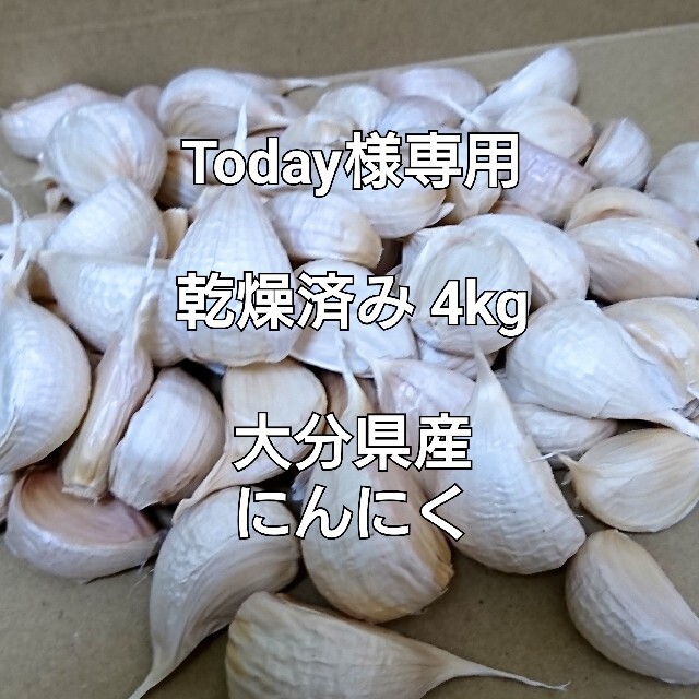 Today様専用 乾燥済み4kg 本年度 初物 大分県産 にんにく 食品/飲料/酒の食品(野菜)の商品写真