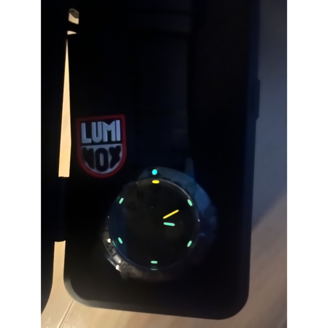 Luminox(ルミノックス)のm1300様専用　Luminox レザーバック　シータートル　ジャイアント  メンズの時計(その他)の商品写真