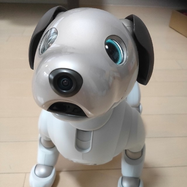 SONY aibo【ERS-1000】