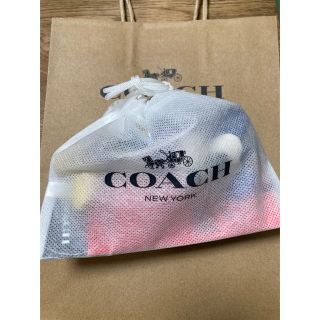 COACH - コーチ キースヘリングコラボミッキーマウスチャーム と