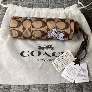 コーチ(COACH)のコーチCOACH スヌーピー　傘　日傘(傘)