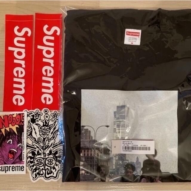 Supreme(シュプリーム)のAugustus Pablo Tee Public Enemy tee メンズのトップス(Tシャツ/カットソー(半袖/袖なし))の商品写真