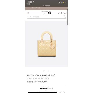 クリスチャンディオール(Christian Dior)のChristian Dior レディーディオール  最終価格ミッツァ付き(ショルダーバッグ)