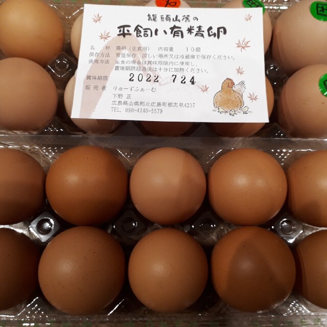 広島県龍頭山麓平飼い卵有精卵20個 食品/飲料/酒の食品(その他)の商品写真