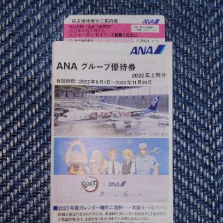 エーエヌエー(ゼンニッポンクウユ)(ANA(全日本空輸))のANA株主優待券ピンク1枚・グループ優待1冊(その他)