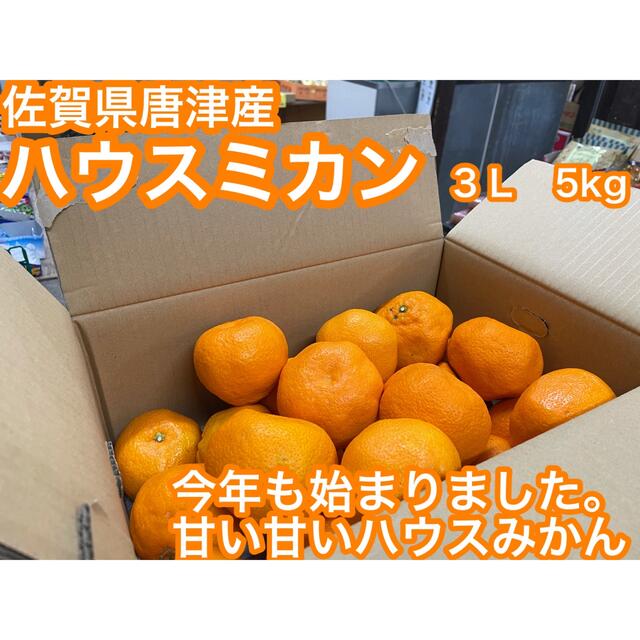 甘~い◎訳あり ハウスみかん 5kg e 通販 甘~い◎訳あり ハウスみかん 5kg e