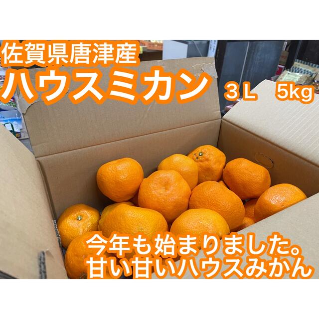 SEAL限定商品】 甘～い 訳あり ハウスみかん 3kg e