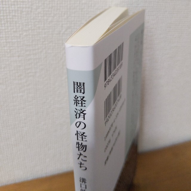 闇経済の怪物たち グレ－ビジネスでボロ儲けする人々 エンタメ/ホビーの本(その他)の商品写真