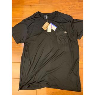 パタゴニア(patagonia)のパタゴニア　ポケットTシャツ　(Tシャツ/カットソー(半袖/袖なし))
