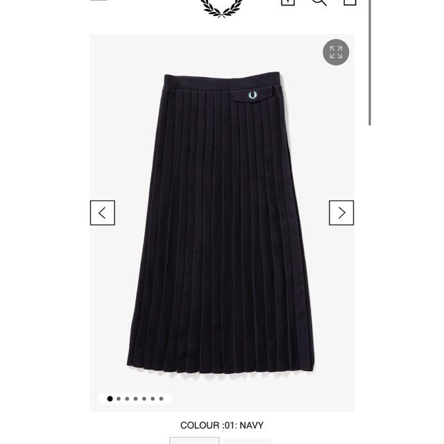 Pleated Knit Skirt