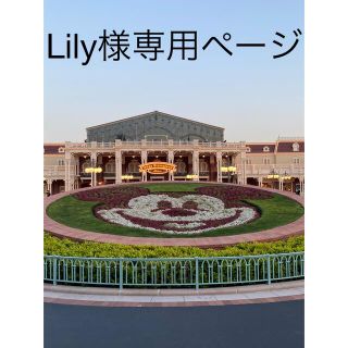 Lily様専用ページ(シングルカード)