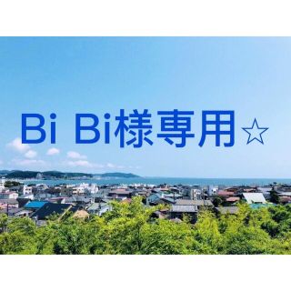 BiBi様専用(はんこ)