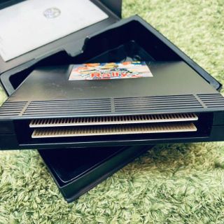 NEO GEO ROM ネオジオ ロム スラッシュラリー