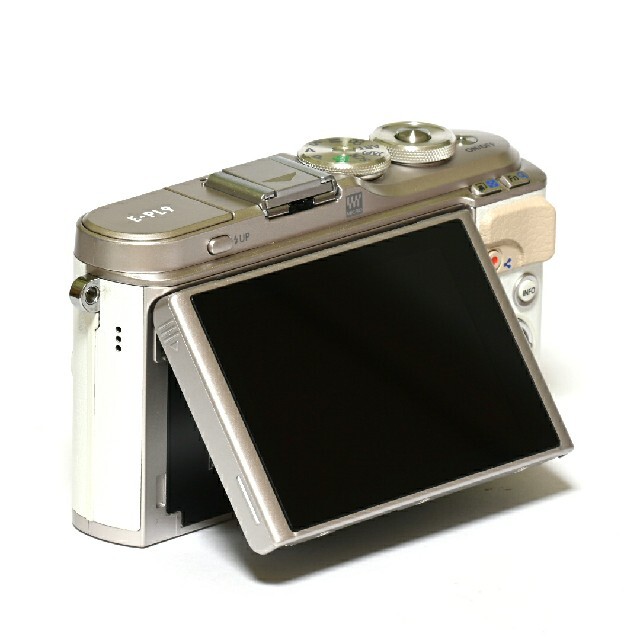 限定品】 OLYMPUS E-PL9 OLYMPUS PEN PEN BROWN(箱、説明書有り) E-PL9