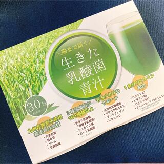 【生きた 乳酸菌青汁】30包 九州産 大麦若葉使用(青汁/ケール加工食品)