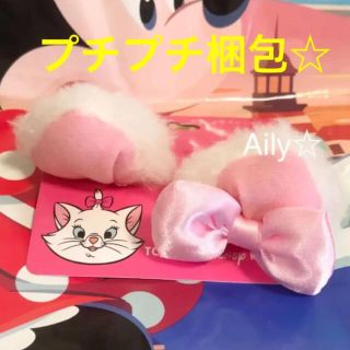 ディズニー(Disney)の2点(ヘアピン)