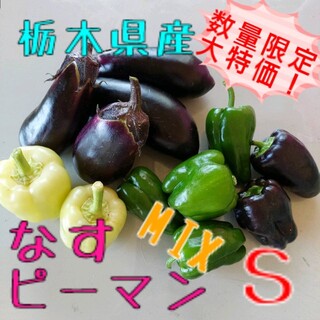 栃木県産　なす・ピーマンMIX【コンパクトBOX】(野菜)