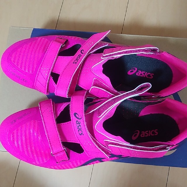 asics サイバーブレード16 新着商品 aleksandra-urman.ch