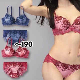 脇高育乳★ワンカラードレッシーローズブラジャー＆ショーツ、新品未使用タグ付き(ブラ&ショーツセット)