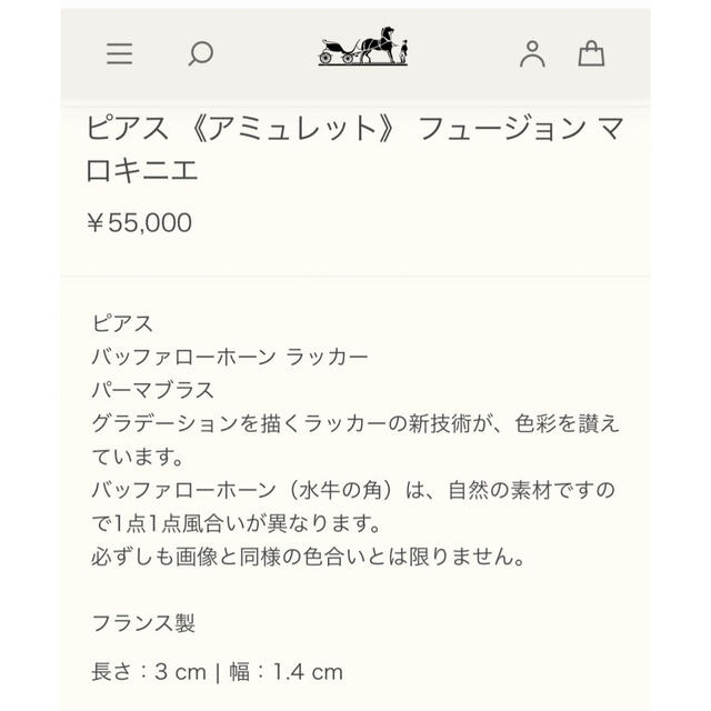 HERMES - 2022 エルメス バッファローホーン ピアス