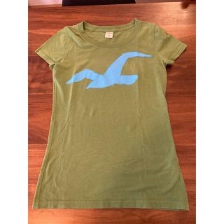 ホリスター(Hollister)の[美品]ホリスター Tシャツ レディース(Tシャツ(半袖/袖なし))