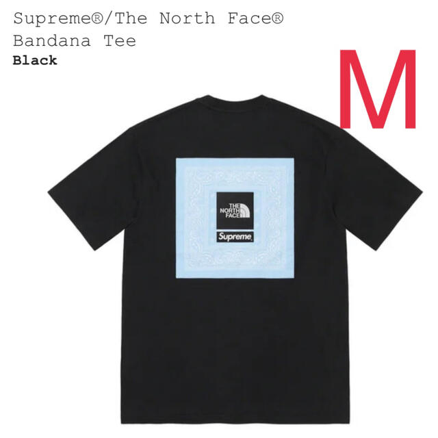 Supreme(シュプリーム)のSupreme® The North Face®  Bandana Tee メンズのトップス(Tシャツ/カットソー(半袖/袖なし))の商品写真