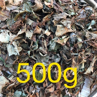 どくだみ茶　無農薬　500g(その他)