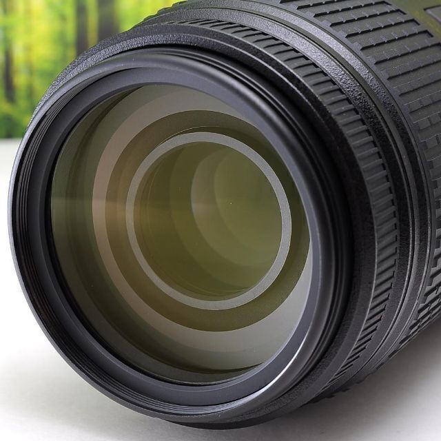 Nikon AF-S 55-300mm☆超望遠＆手振れ補正つき♪2922-1