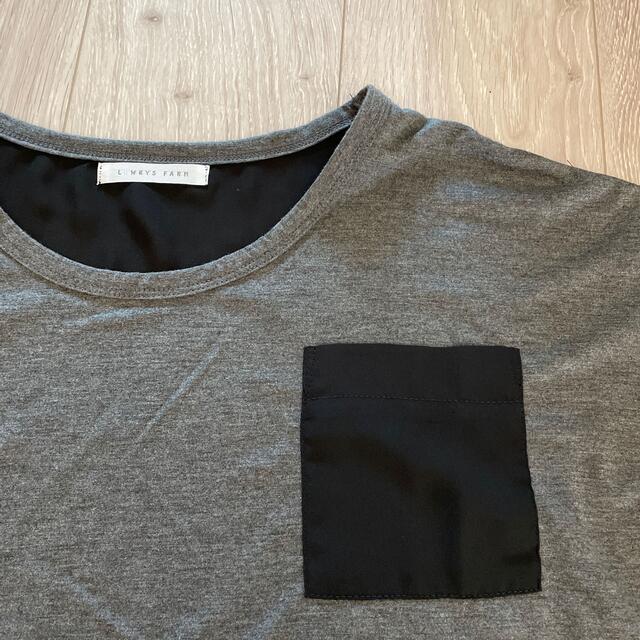 LOWRYS FARM(ローリーズファーム)のローリーズファーム　シアー素材Tシャツ レディースのトップス(Tシャツ(半袖/袖なし))の商品写真