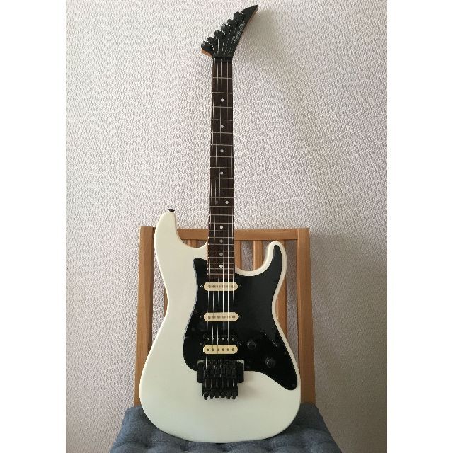 ★Tokai Custum Edition★JSD653PW★