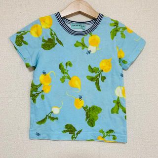 ハッカキッズ(hakka kids)のハッカキッズ　レモン柄　半袖Tシャツ　110(Tシャツ/カットソー)