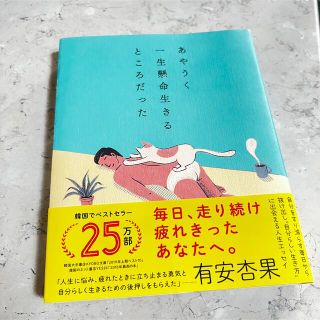 ダイヤモンドシャ(ダイヤモンド社)の即日配送❗️あやうく一生懸命生きるところだった(その他)