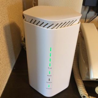 エヌイーシー(NEC)のSpeed Wifi HOME 5G L12 SIMフリー版(その他)