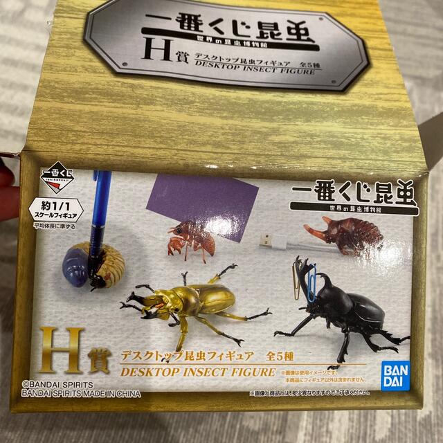 BANDAI(バンダイ)の一番くじ　昆虫　Ｈ賞　カブトムシ　デスクトップ　昆虫　フィギュア エンタメ/ホビーのフィギュア(その他)の商品写真