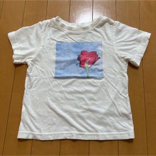 プティマイン(petit main)の子供服 petit main 花柄Tシャツ 100cm(Tシャツ/カットソー)