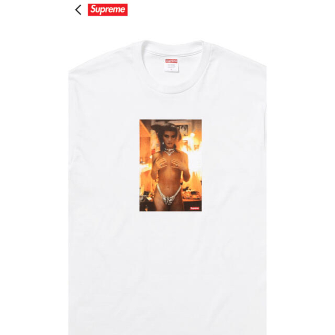 Supreme(シュプリーム)の即完売コラボ シュプリーム　フォト　Tシャツ　コラボ メンズのトップス(Tシャツ/カットソー(半袖/袖なし))の商品写真