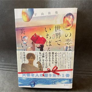 この恋は世界でいちばん美しい雨(文学/小説)