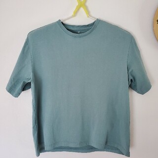 エイチアンドエイチ(H&H)のH&M　厚手の半袖Tシャツ(Tシャツ/カットソー(半袖/袖なし))