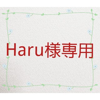 Haru様専用(格闘技/プロレス)
