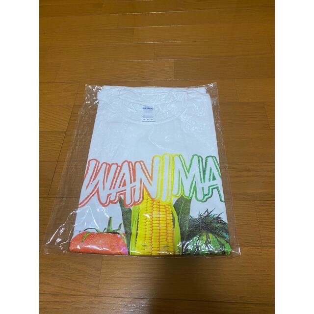 WANIMA ワニマ Tシャツセット *バラ売不可